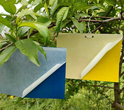 NCB-602 高性能热熔胶,用于胶带 NCB-602 高性能热熔胶,用于胶带